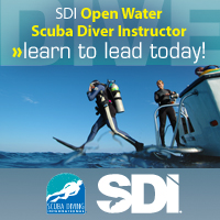 Scuba Diving International Open Water Instructor Training, 360-991-2999